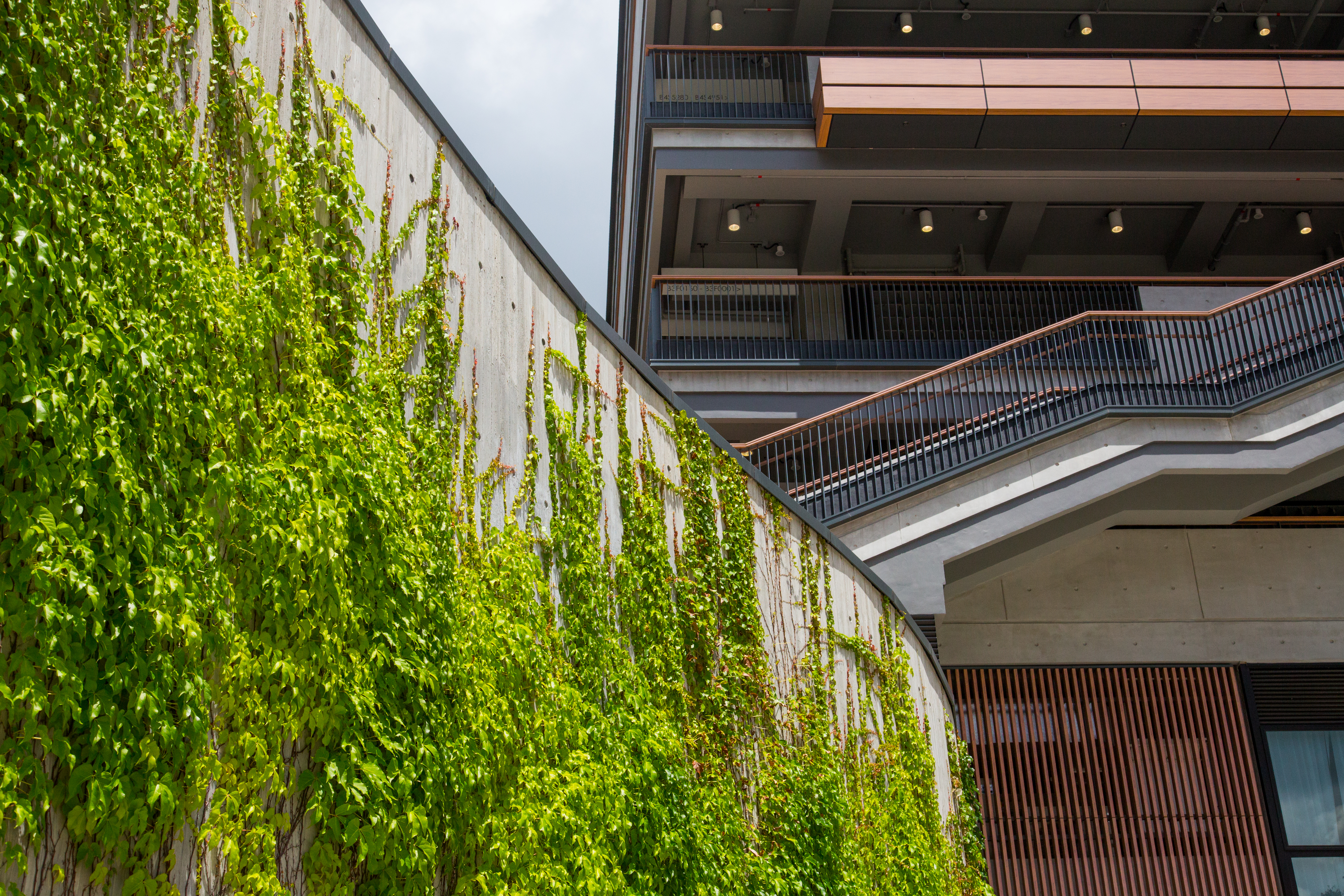 Green Wall